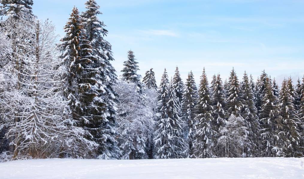 Santa Caterina Settimana bianca 2024