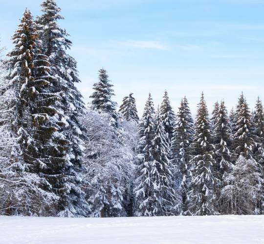 Santa Caterina Settimana bianca 2024